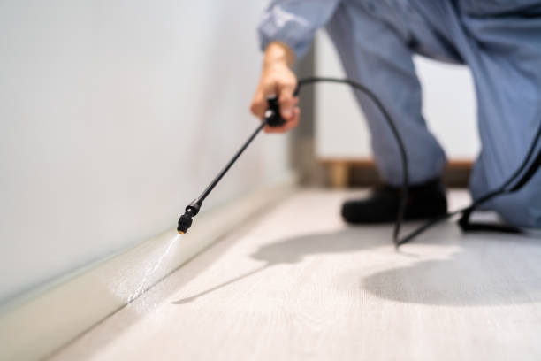 Licensed Pest Control service in Livingston, TX - Show Me Pest Control