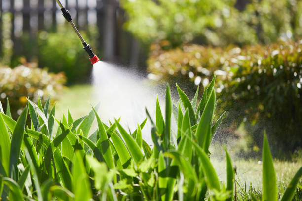 24/7 Emergency Mosquito Control experts in Livingston, TX