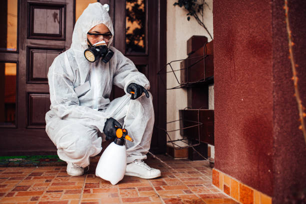 Reliable Mosquito Control contractor in Livingston, TX by Show Me Pest Control